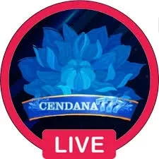 Aplikasi cendana777 Resmi dan Terpercaya di Android — ikon APK